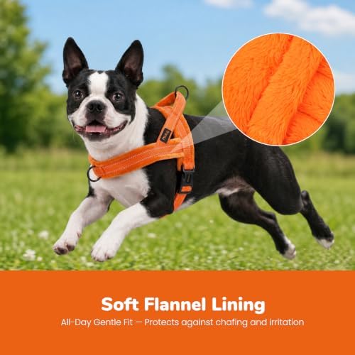 Didog No Pull Dog Harness for Small Dogs, Soft Flannel Padded - Image 2