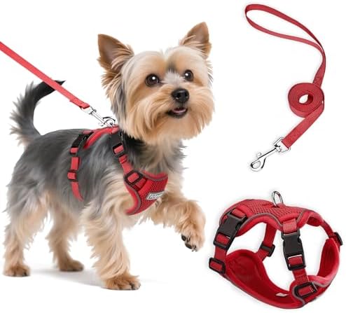 Small Dog Harness and Leash Set, Adjustable Small Sized Pet Vest by Unknown