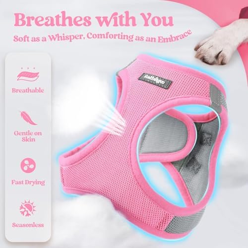 rabbitgoo Dog Harness Small Sized and Leash Set, Step-in Puppy Pet Vest - Image 3