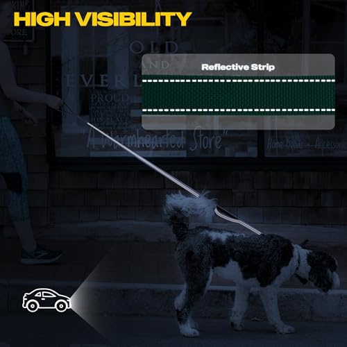 Fida 10 FT Heavy Duty Dog Leash, Dual Padded Handles - Image 5