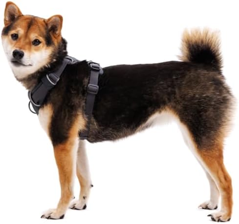 Ruffwear, Front Range Dog Chest Harness, Blaze Orange - Image 6