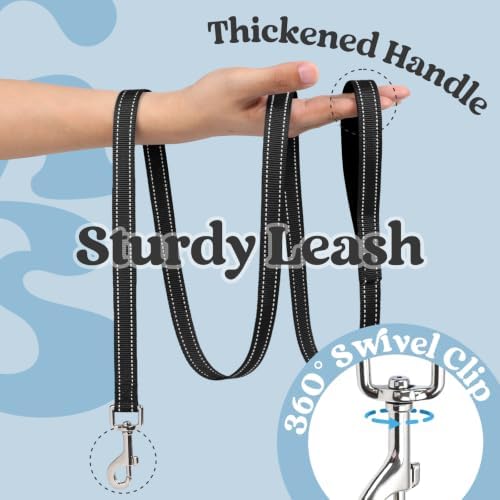 rabbitgoo Dog Harness Small Sized and Leash Set, Step in Soft Vest - Image 4