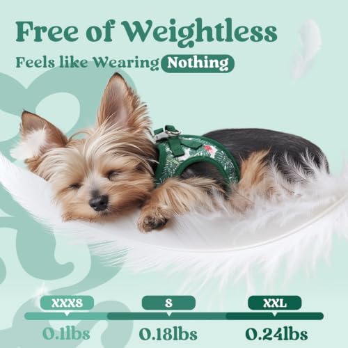 rabbitgoo Step-in Small Dog Harness, Puppy Vest - Image 4