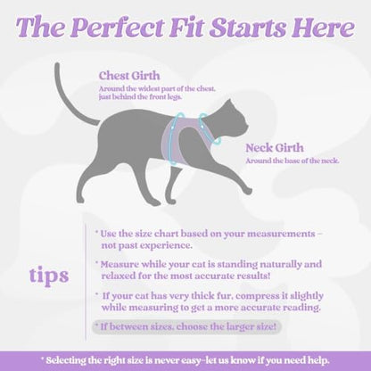 rabbitgoo Cat Harness and Leash Set, Step-in Soft Vest, Light Purple - Image 2