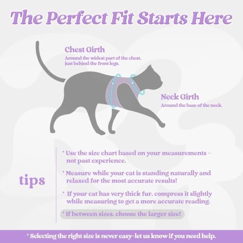 rabbitgoo Cat Harness and Leash Set, Step-in Soft Vest, Light Purple - Image 2