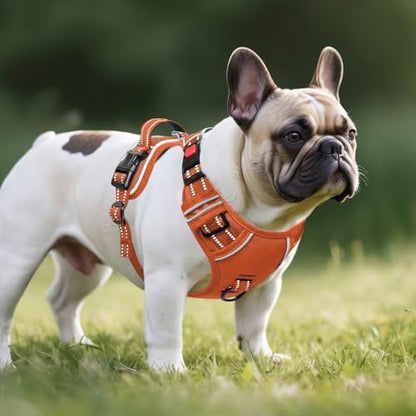 Timos Dog Harness Small Sized, Neck Quick Release - Image 6