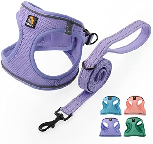 BELLA & PAL Step in Puppy Harness and Leash Set by BELLAPAL