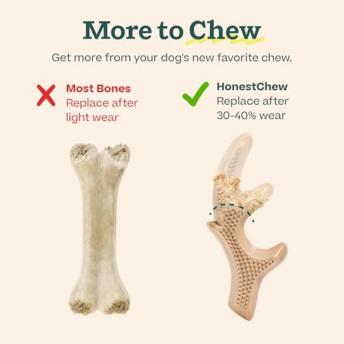 WOOF HonestChew Duo Dog Chew Toy Set - Image 6