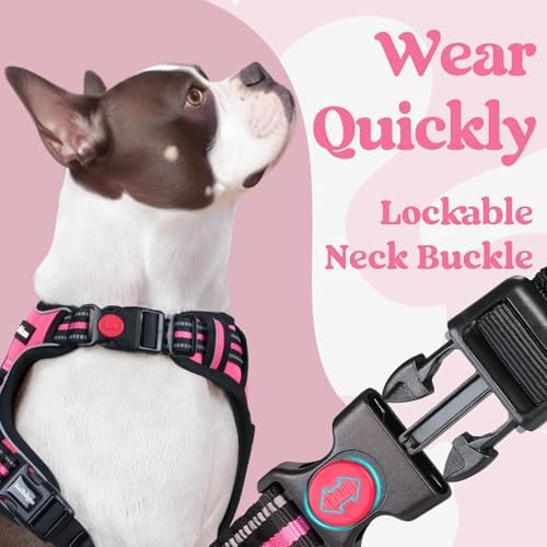 rabbitgoo Dog Harness for Large, Updated Easy On & Off - Image 2