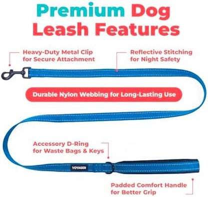 Best Pet Supplies Voyager Nylon Dog Leash - Image 3