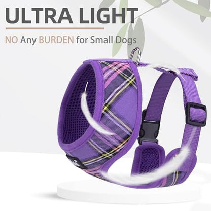 PUPTECK Small Dog Harness and Leash Set No Pull - Image 5