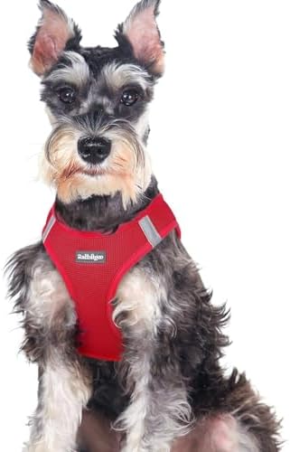 rabbitgoo Step-in Small Dog Harness, Puppy Vest by rabbitgoo