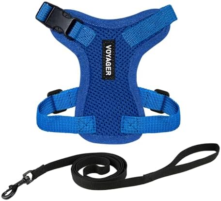 Voyager Step-in Lock Cat Harness & Leash Set by BestPetSuppliesLLC