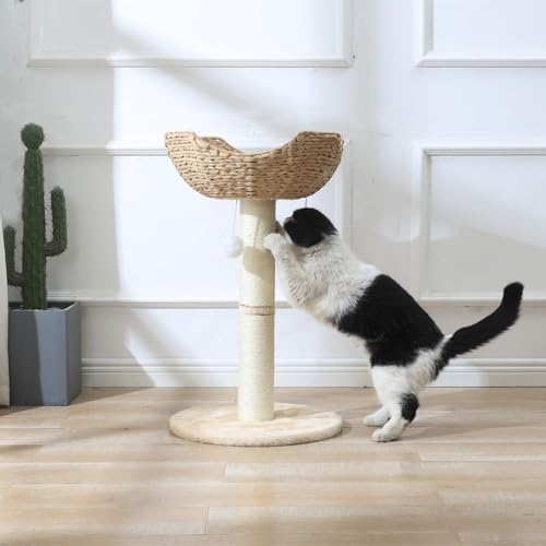 SHENGOCASE Small Cat Tree Tower - Image 3