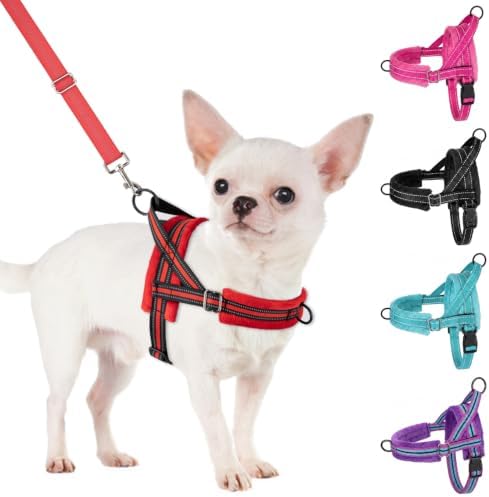 SlowTon No Pull Small Dog Harness and Leash Set by SlowTon