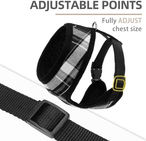 PUPTECK Small Dog Harness and Leash Set No Pull - Image 3