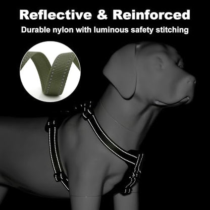 Plutus Pet No Pull Dog Harness - Image 4