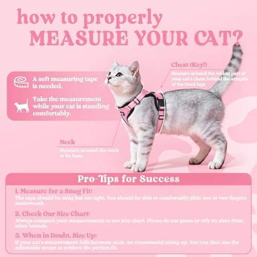 rabbitgoo Cat Harness and Leash Set, Escape Proof Vest - Image 2