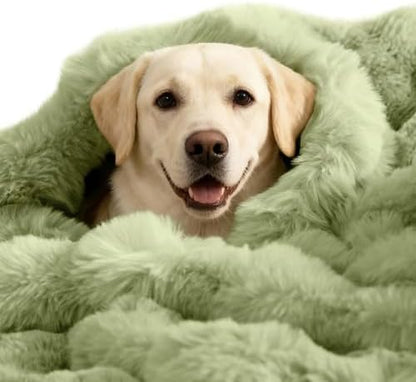 SOMAHE Dog Blanket for Couch Bed, Soft Faux Fur, Large 39x31 Fruit Green by COZYHOMECHICSTYLE
