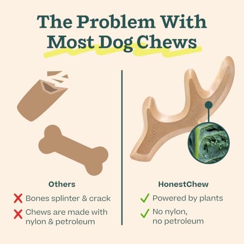 WOOF HonestChew Duo Dog Chew Toy Set - Image 2