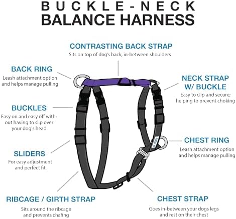 Blue-9 Balance Harness® for Dogs, Buckle-Neck - Image 2