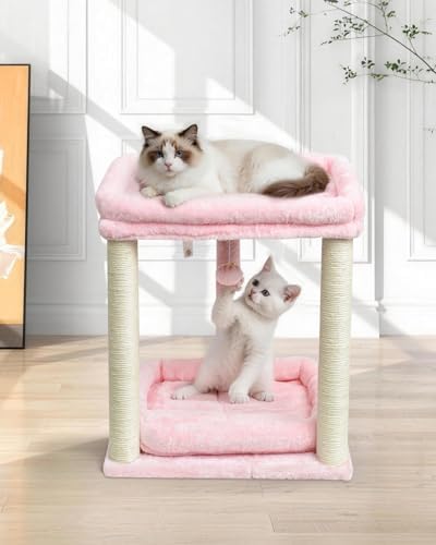 SYANDLVY Small Cat Tree for Indoor Cats - Image 6
