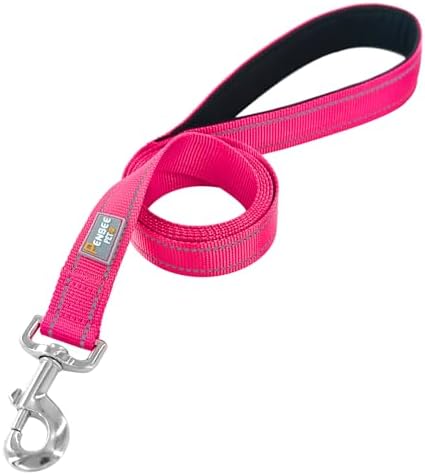 6 FT Basic Dog Leash for Small Dogs, Hot Pink - Image 2