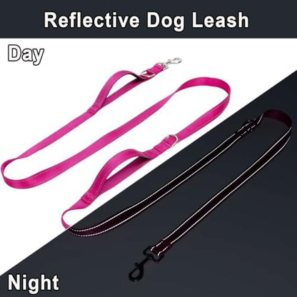 WYuZe Double Clasp 10ft Dog Leash - Image 5