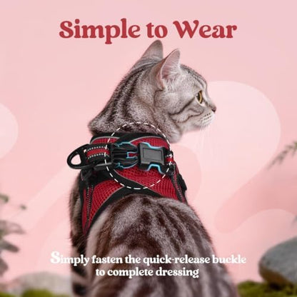 rabbitgoo Cat Harness and Leash Set, Step-in Soft Vest - Image 4