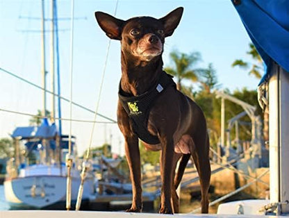 EcoBark Step in Dog Harness, XS & Small Dog Harness - Image 5