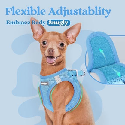 rabbitgoo Step-in Small Dog Harness, Puppy Vest - Image 5