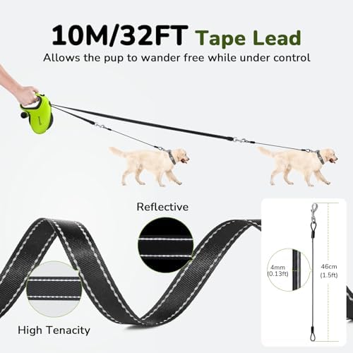 Pecute 32ft Retractable Dog Leash - Image 3