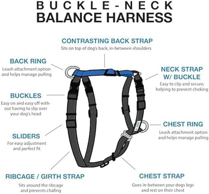 Blue-9 Balance Harness® for Dogs, Buckle-Neck - Image 2