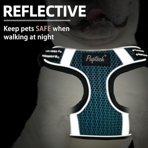 PUPTECK Dog Harness and Leash Set Medium Sized, Step in No Pull Adjustable - Image 4