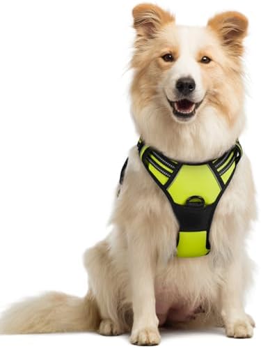 rabbitgoo Dog Harness, No Pull Medium Sized by rabbitgoo