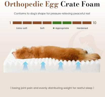 Medium Dog Bed Orthopedic Foam - Image 3