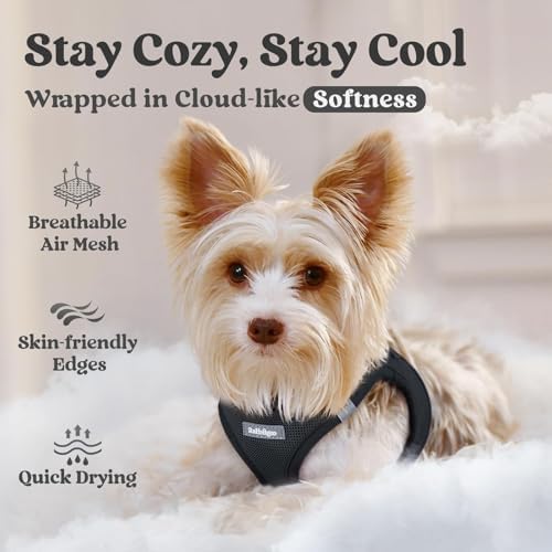 rabbitgoo Step-in Small Dog Harness, Puppy Vest - Image 3