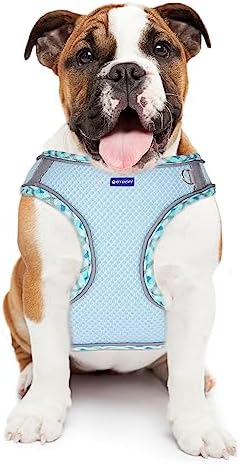 Step in Mesh Dog Harness and Leash Set Breathable Air Mesh Harness - Image 7