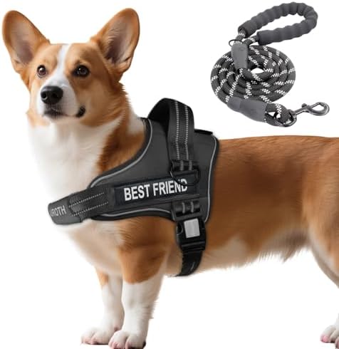 AUROTH Dog Harness and Leash Set Small Sized Dog, No Pull Escape Proof Vest by AurothPets