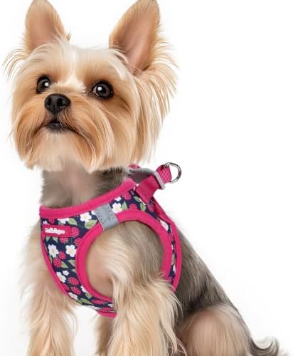rabbitgoo Step-in Small Dog Harness, Puppy Vest by rabbitgoo