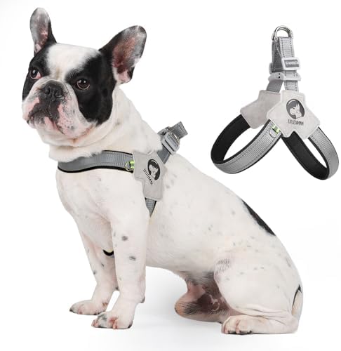 No Pull Small Dog Harness, Adjustable Puppy Soft Vest Harness by Kazazoo