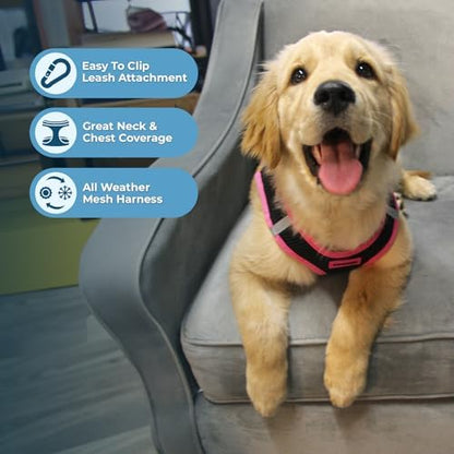 Voyager Step-in Air Dog Vest Harness - Image 3