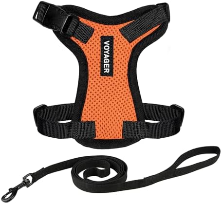 Voyager Step-in Lock Cat Harness & Leash Set by BestPetSuppliesLLC