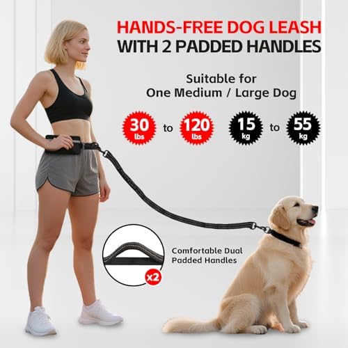 Hands Free Dog Leash with Waist Belt & Large Pouch, Waist Leash - Image 2