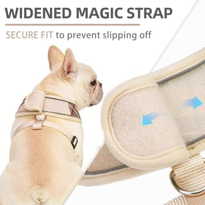 PUPTECK Small Dog Harness and Leash Set No Pull - Image 2