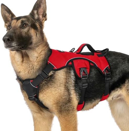 rabbitgoo Escape Proof Dog Harness by rabbitgoo