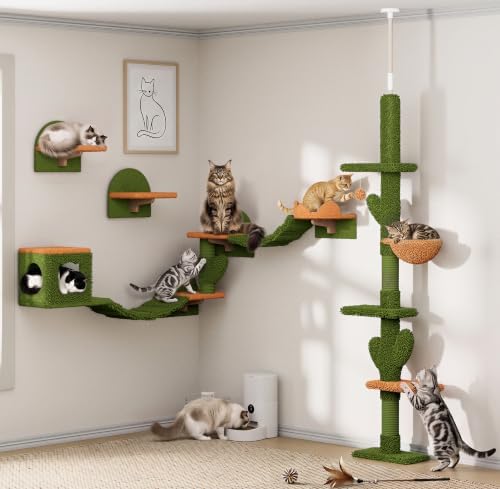 Cactus Floor-to-Ceiling Cat Tree, Adjustable Height by Homiflex