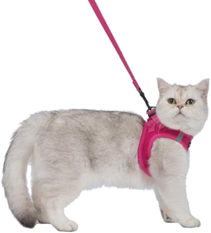 Voyager Step-in Air Cat Harness & Leash Set - Image 2