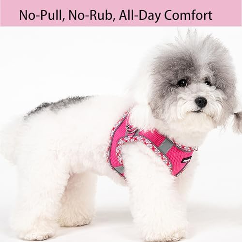Petank Step in Dog Harness No Pull and Leash - Image 2