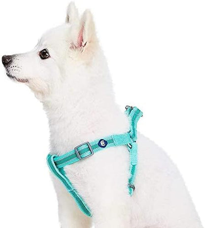 Blueberry Pet Essentials Step-in Reflective Back to Basics Dog Harness by BlueberryPet